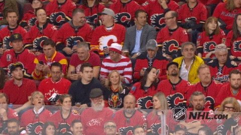 calgary flames hockey GIF by NHL