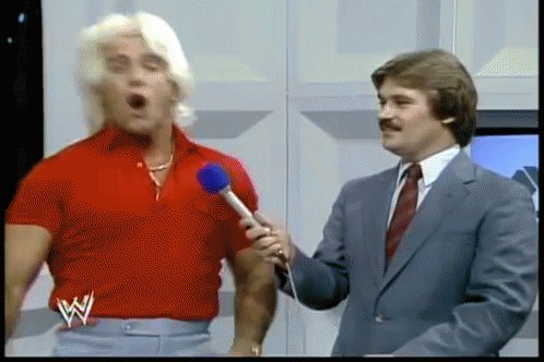 Ric Flair GIF