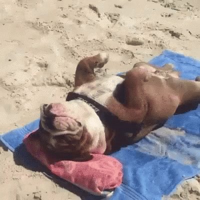Bbeach Day Chilling GIF