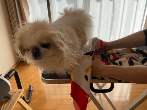 みんなの 獅子丸 たこ焼き 口コミ 評判 食べたいランチ 夜ごはんがきっと見つかる ナウティスイーツ みんなの 獅子丸 たこ焼き 口コミ 評判 食べたいランチ 夜ごはんがきっと見つかる ナウティスイーツ