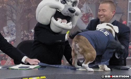 Yale GIF