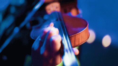 Playing Violin Taylor Davis GIF