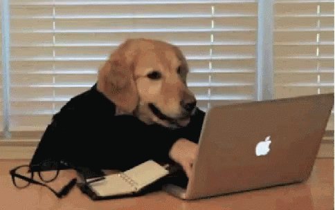 Dog Funny GIF