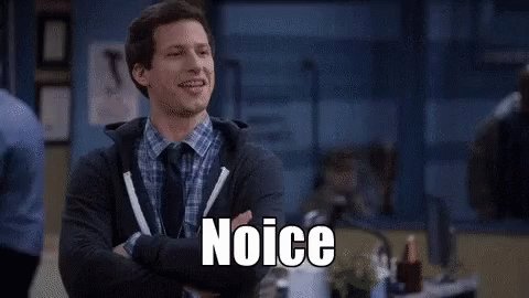 Brooklyn99 Noice GIF