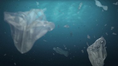 Ocean Pollution GIF by VEOC...