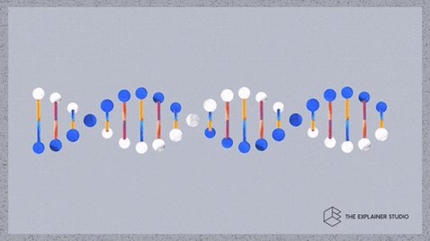 Double Helix Animation GIF by The Explainer Studio