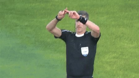 Referee Sign Language GIF