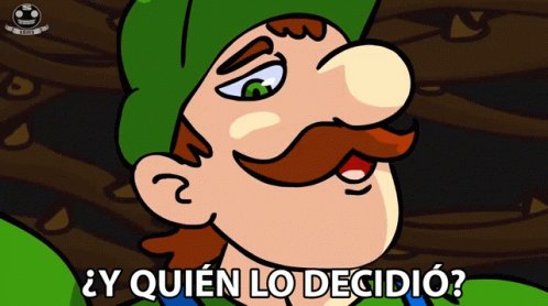 YQuien Lo Decidio Luigi GIF