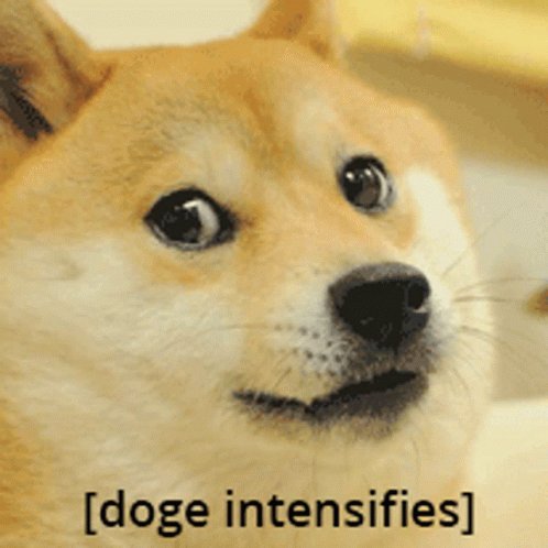 Doge Weird GIF