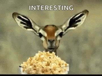 Atenta Viado GIF
