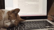 Cat Asleep GIF