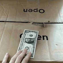 Cat Money GIF