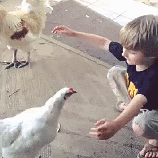 kfc love GIF