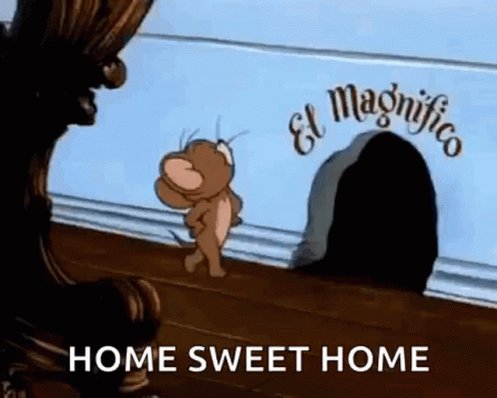 Tom And Jerry Maganifico GIF