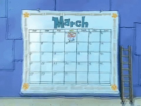 Season 1 March GIF by SpongeBob SquarePants