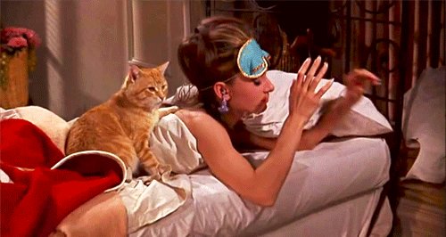 audrey hepburn cat GIF