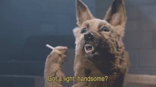 Hey There GIF