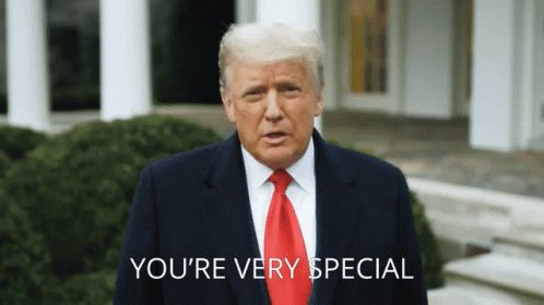 Trump Donald Trump GIF