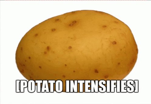 Potato Intensifies Intensif...