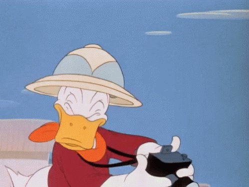 National Camera Day Donald Duck GIF