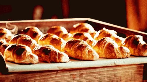 Croissants Freshly Baked GIF