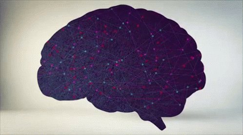 Brain GIF