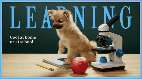 learning learn GIF by Originals