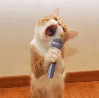 Kucing Nyanyi GIF