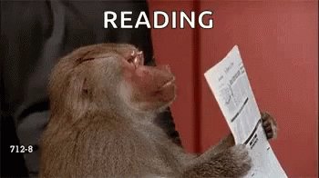 Baboon Newspaper GIF