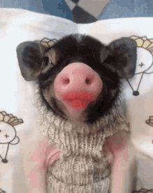 Lips Cute GIF
