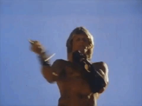 the beastmaster GIF