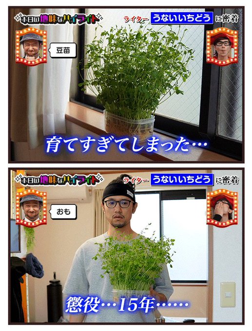 Mstさん がハッシュタグ 本日の地味なハイライト をつけたツイート一覧 1 Whotwi グラフィカルtwitter分析