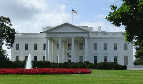 White House GIF