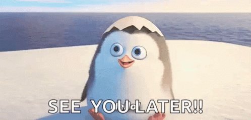 Penguin Hello GIF
