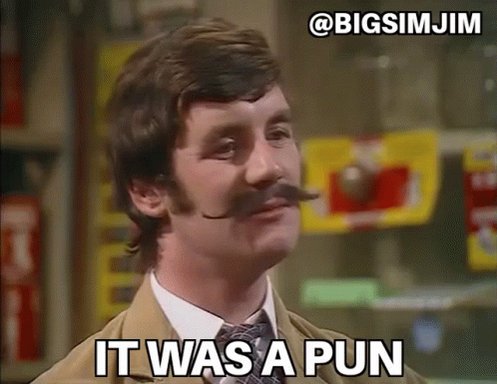 It Was APun Monty Python GIF