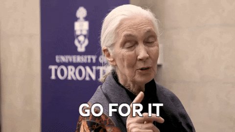 go for it uoftartsci GIF by U of T Faculty of Arts & Science