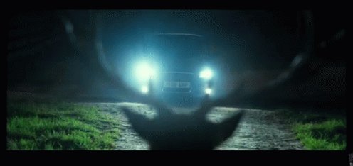 Deer Car GIF