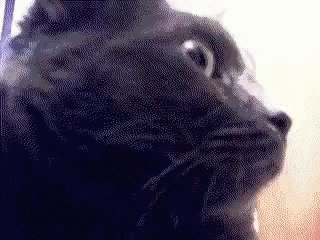 Concerned GIF