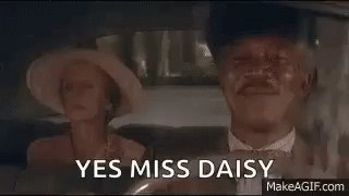 Driving Miss GIF