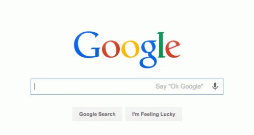 Google Is Friends Search Bar GIF