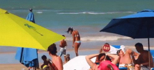 Beach GIF