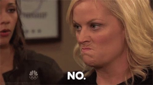 No Parksandrec GIF