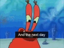 Mr Krabs And The Next Day GIF