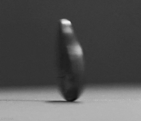 heads or tails spinning GIF
