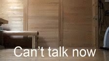 Can't Talk Now, Got Stuff To Do GIF