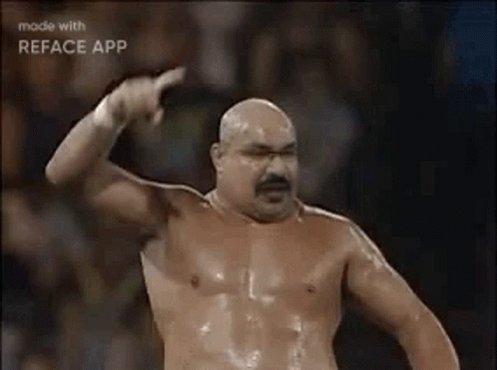 Happy Birthday always remember that fuck the Hulk Hogan is the biggest jabroni! Iron Sheik number 1! 