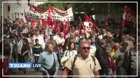 France Manifestation GIF by...