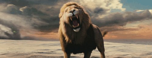 lions GIF