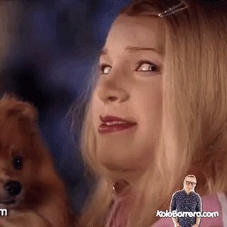 Quenaco Guera GIF