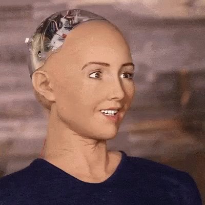 Robotgirl Artificial GIF
